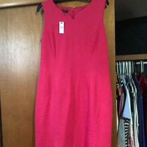 Nwt Talbots shift jersey dress. Sleeveless, pinkish red and beautiful.